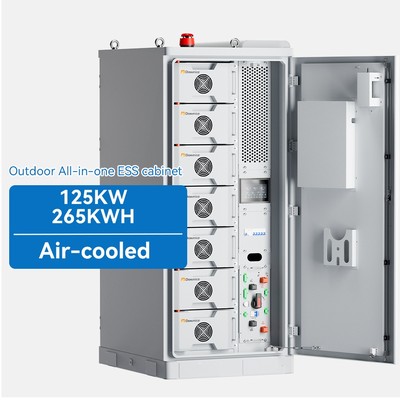 Loong Power BS09-225-D Outdoor Cabinet BESS
